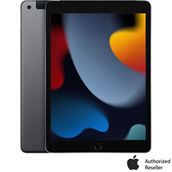 Apple iPad 10.2 in. 256GB with WiFi and Cellular (9th Gen)