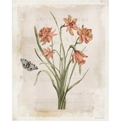 Inkstry Antiquarian Blooms V Canvas Wrapped Giclee Art