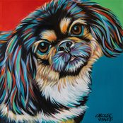 Inkstry Chroma Dogs IV 20 x 20 Canvas Giclee Gallery Wrap Canvas Print