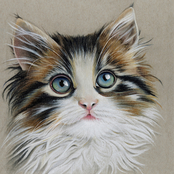 Inkstry Kitten Portrait II 20 x 20 Canvas Giclee Gallery Wrap Canvas Print