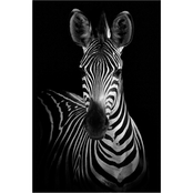 Inkstry Zebra Canvas Wrapped Giclee Art