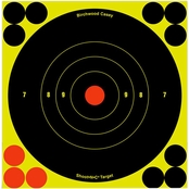 Birchwood Casey Shoot-N-C 6 In. Bull's-eye Target, 60 Pk.
