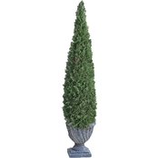 Design Toscano Topiary Tree, Cone