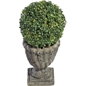 Design Toscano Topiary Tree, Ball