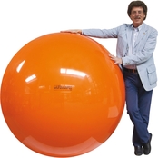 Kettler Gymnic Megaball