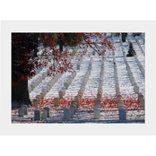 Capital Art Arlington National Cemetery Falling Leaves November's First Snow Matte