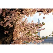 Capital Art Cherry Blossoms On a Hazy Day with the Washington Monument Canvas