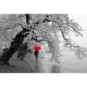 Capital Art Cherry Blossoms Blooming in the Rain, B&W with a Red Umbrella Canvas