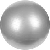 Sunny Health and Fitness Anti-Burst 65cm Gym Ball