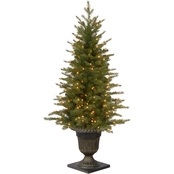 National Tree Company 4 ft. Nordic Spruce Entrance Tree with Clear Lights