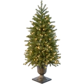 National Tree Company 4 ft. Jersey Fraser Fir Entrance Tree with Clear Lights