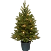 National Tree Company 3 ft. Jersey Fraser Fir Tree Battery Operated Warm White LED