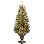 National Tree Company 5 ft. Wispy Willow Grande Entrance Tree with Clear Lights