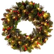 National Tree Co. 24 in. Crestwood Spruce Wreath with Clear Lights