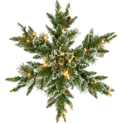 National Tree Co. 32 in. Glittery Bristle Pine Snowflake with Battery Power LEDs