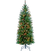 National Tree Company 4.5 ft. Kingswood Fir Pencil Tree with Multicolor Lights