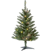 National Tree Company 3 ft. Kingswood Fir Tree with Clear Lights