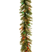 National Tree Co. 9 Ft. Norwood Fir Garland with Multicolor Lights