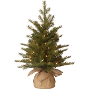 National Tree Co. 2 Ft. Nordic Spruce Tree with Clear Lights