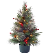 National Tree Co. 2 Ft. Colonial Potted Tree with Battery Operated Warm White LEDs