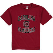 Champion Youth Garnet South Carolina Gamecocks Circling Team Jersey T-Shirt