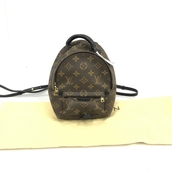 Louis Vuitton Brown Monogram Palm Springs Mini Backpack  (Pre-Owned)