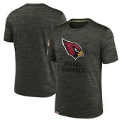 Men's Nike Brown Arizona Cardinals 2022 Salute to Service Velocity Team T-Shirt