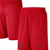 Nike Men's Scarlet Ohio State Buckeyes Performance Mesh Shorts