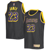 Nike Youth LeBron James Graphite Los Angeles Lakers 2020/21 Swingman Player Jersey - Earned Edition