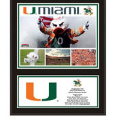 Fanatics Authentic Miami Hurricanes 12'' x 15'' Sublimated Team Plaque