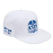 Pro Standard Men's White Hampton Pirates Evergreen Wool Snapback Hat
