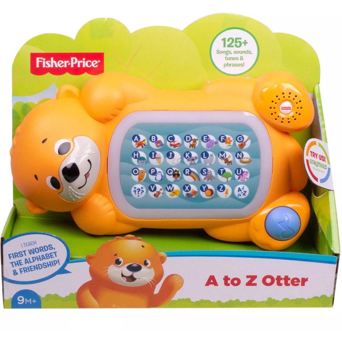 Details about   Fisher-Price GCW09 Learning 