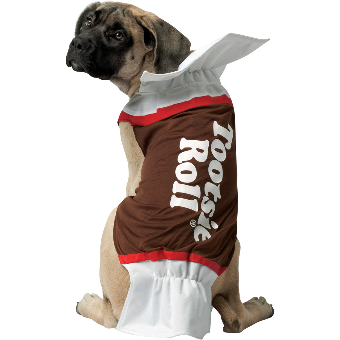 Rasta Imposta Dog Costume Size Chart