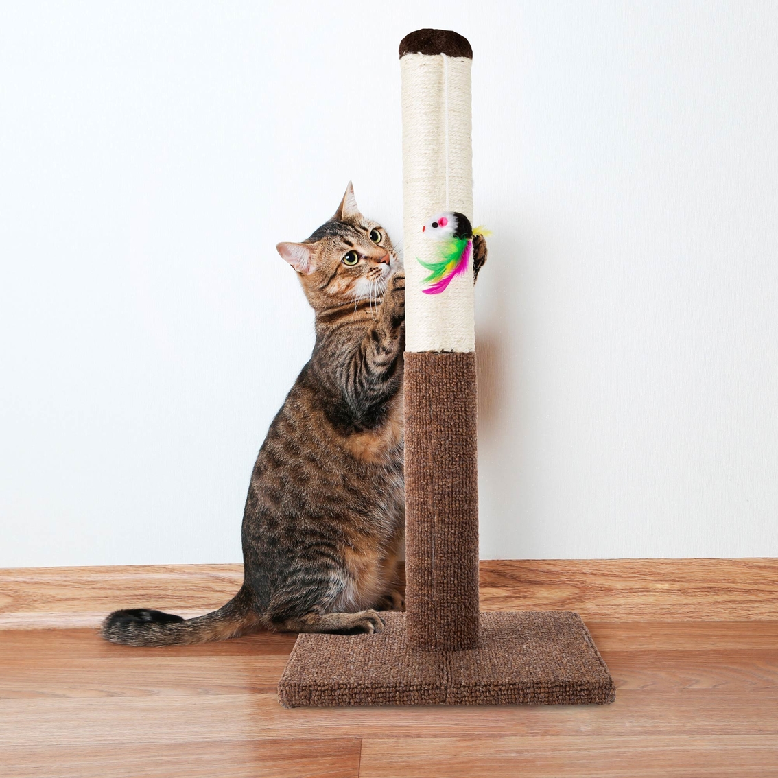 Petmaker Cat Scratching Post - Image 6 of 7