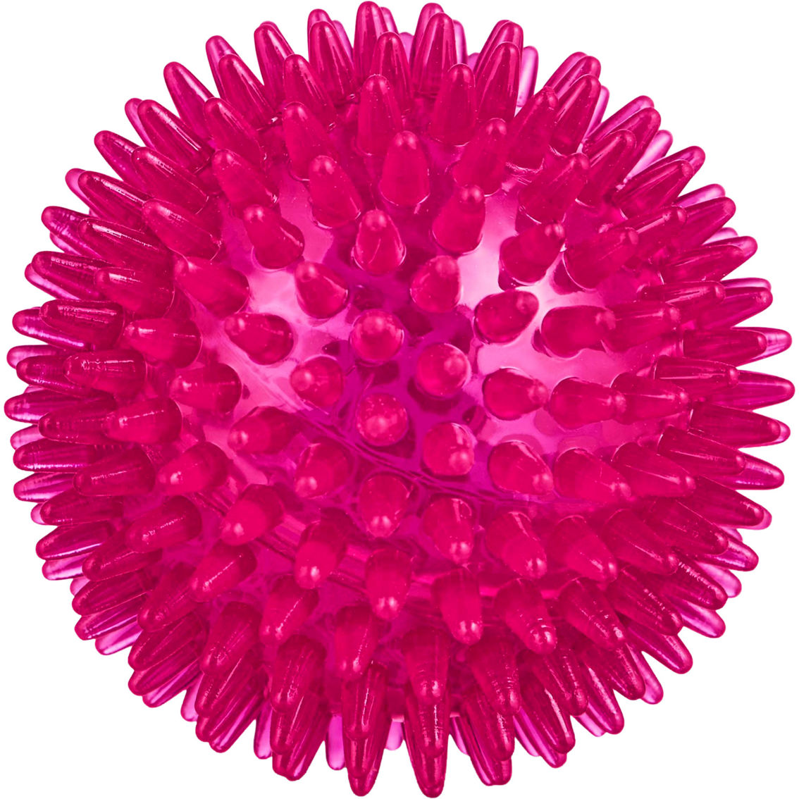 Leaps & Bounds Romp and Run Spiny Ball Dog Toy - Image 5 of 5