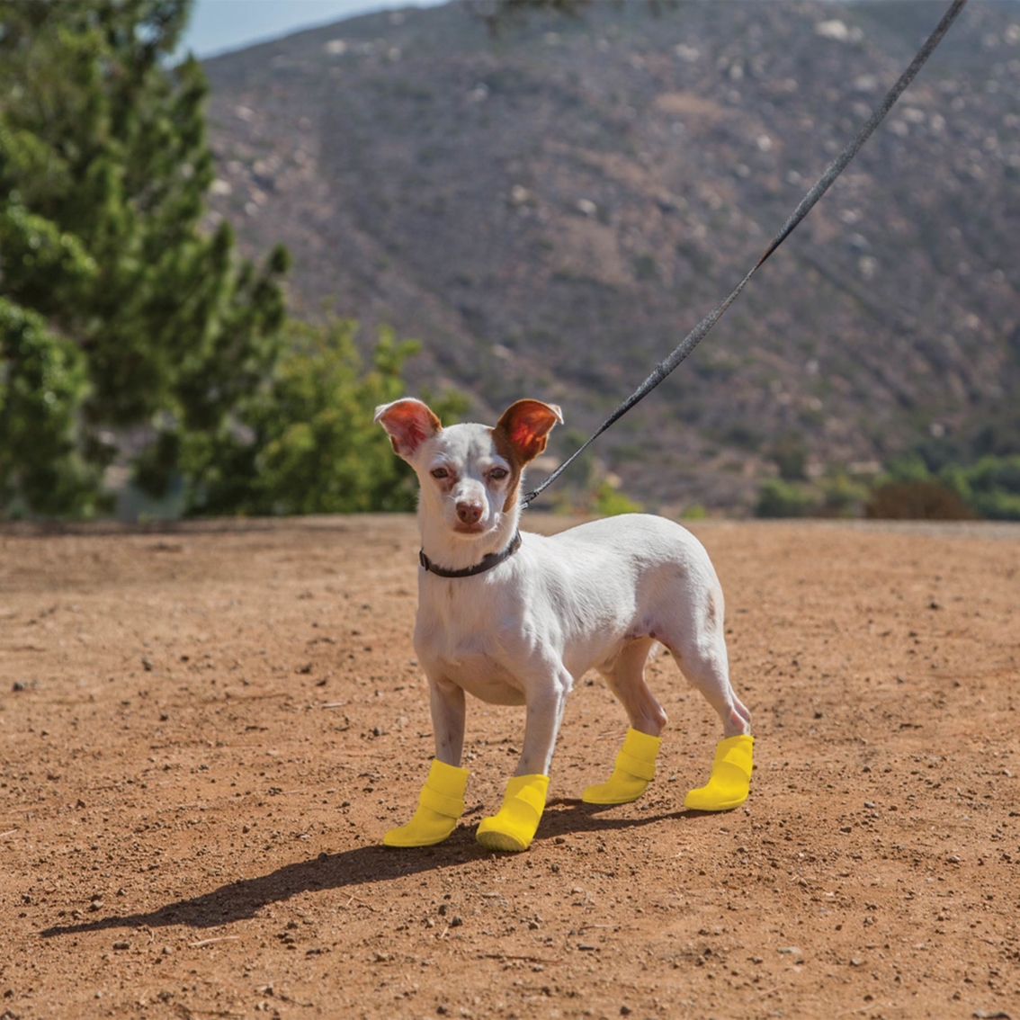 GOOD2GO Rain or Shine Yellow Silicone Dog Boots