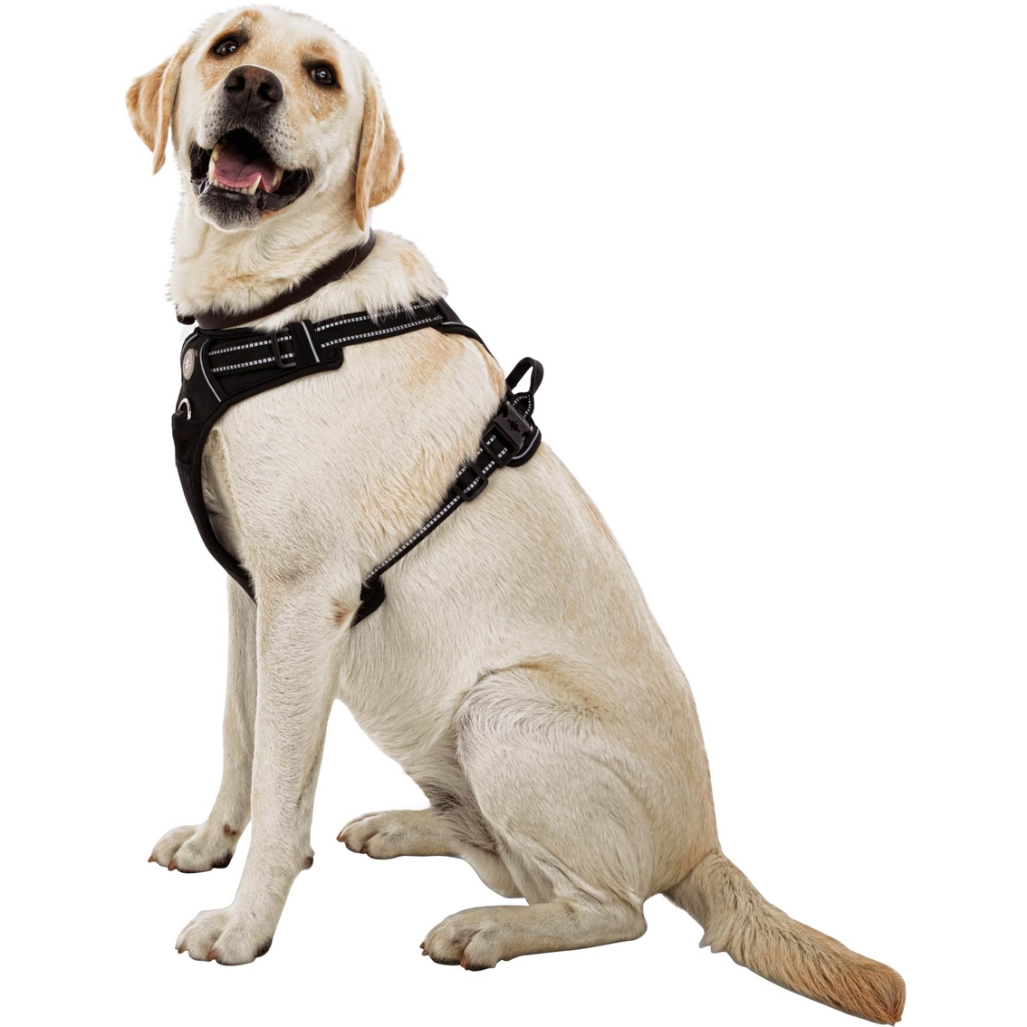 Good2Go Front Walking Dog Harness - Image 4 of 7