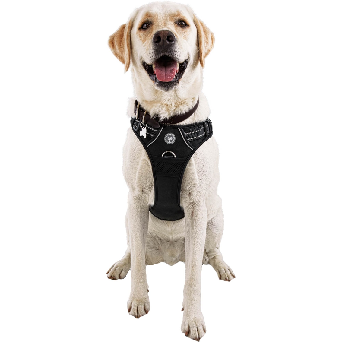 Good2Go Front Walking Dog Harness - Image 5 of 7