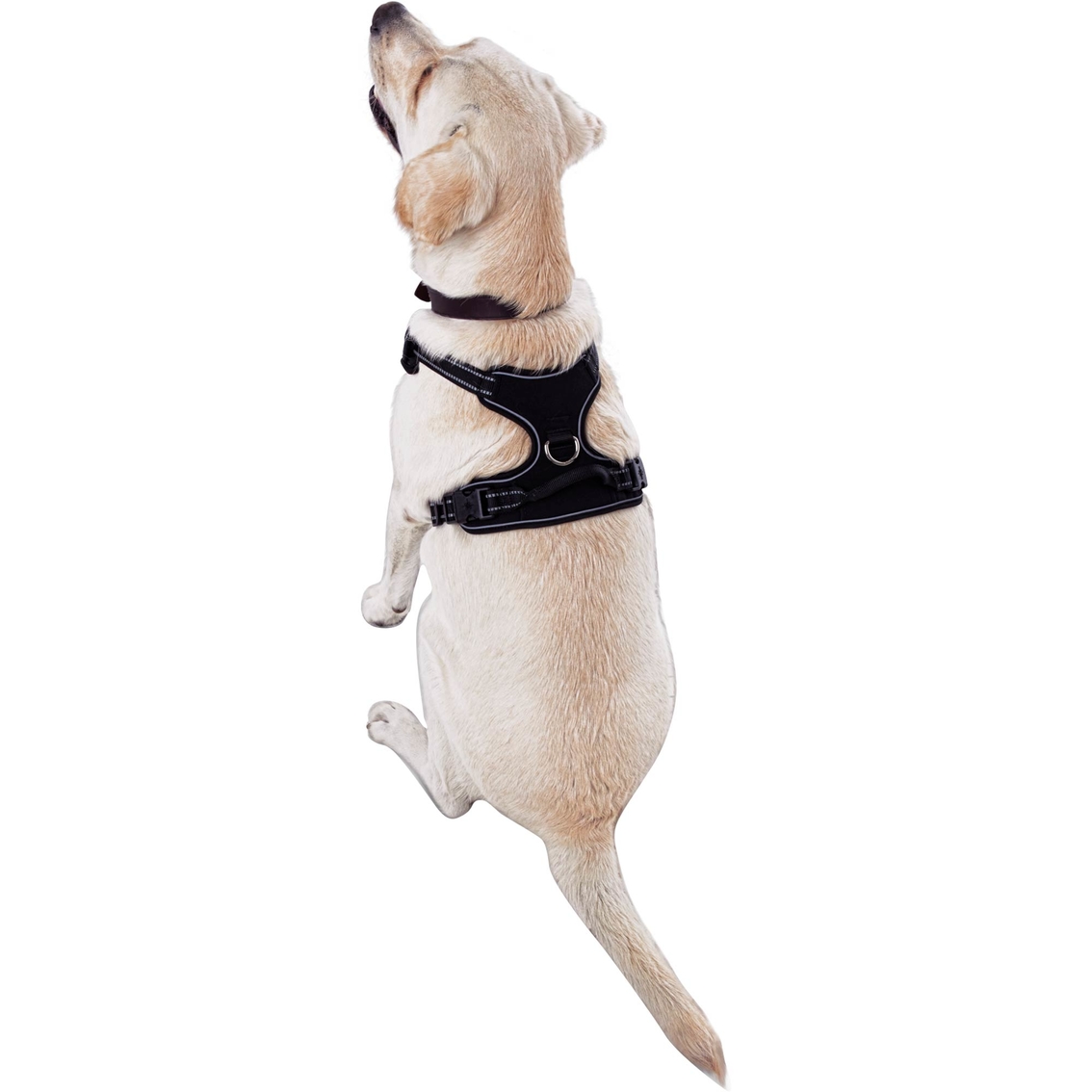 Good2Go Front Walking Dog Harness - Image 6 of 7