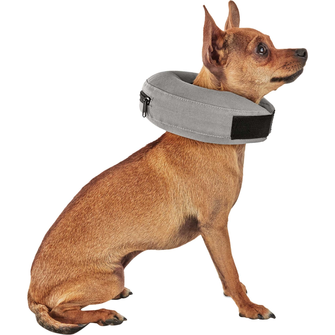 Well & Good Inflatable Collar for Pets - Image 2 of 10