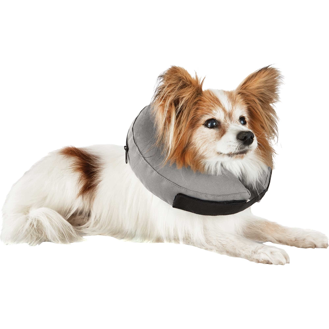 Well & Good Inflatable Collar for Pets - Image 6 of 10