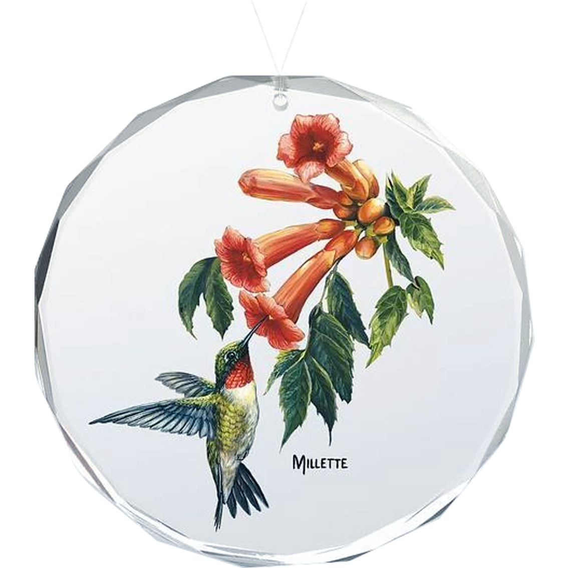Wild Wings Ruby Throated Hummingbird Oval Beveled Edge Glass Ornament