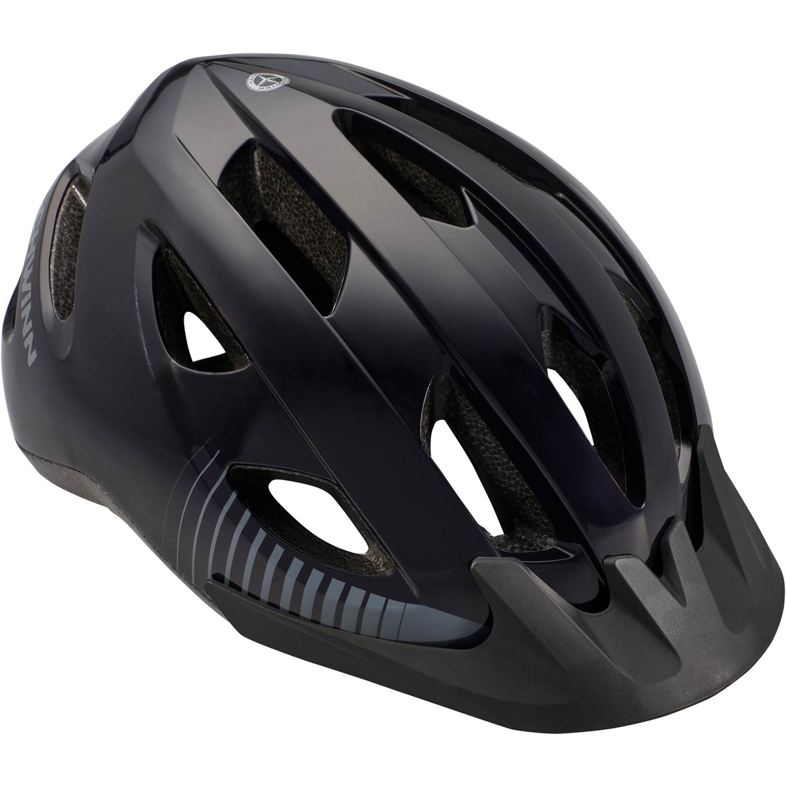 Schwinn Sojourn Adult Bike Helmet | Bike Accessories | Sports ...