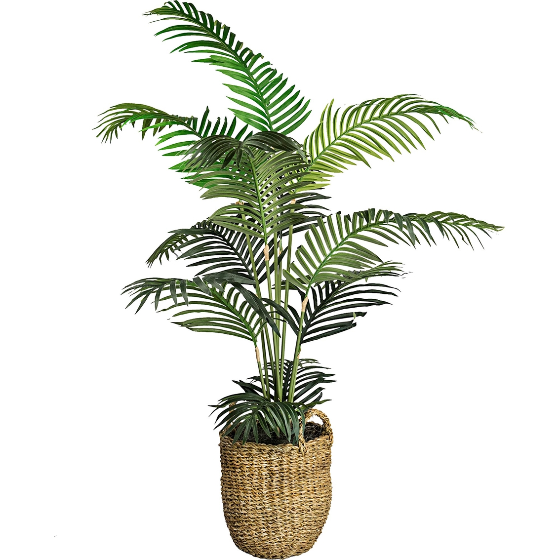 LCG Florals Areca Palm Tree in Basket