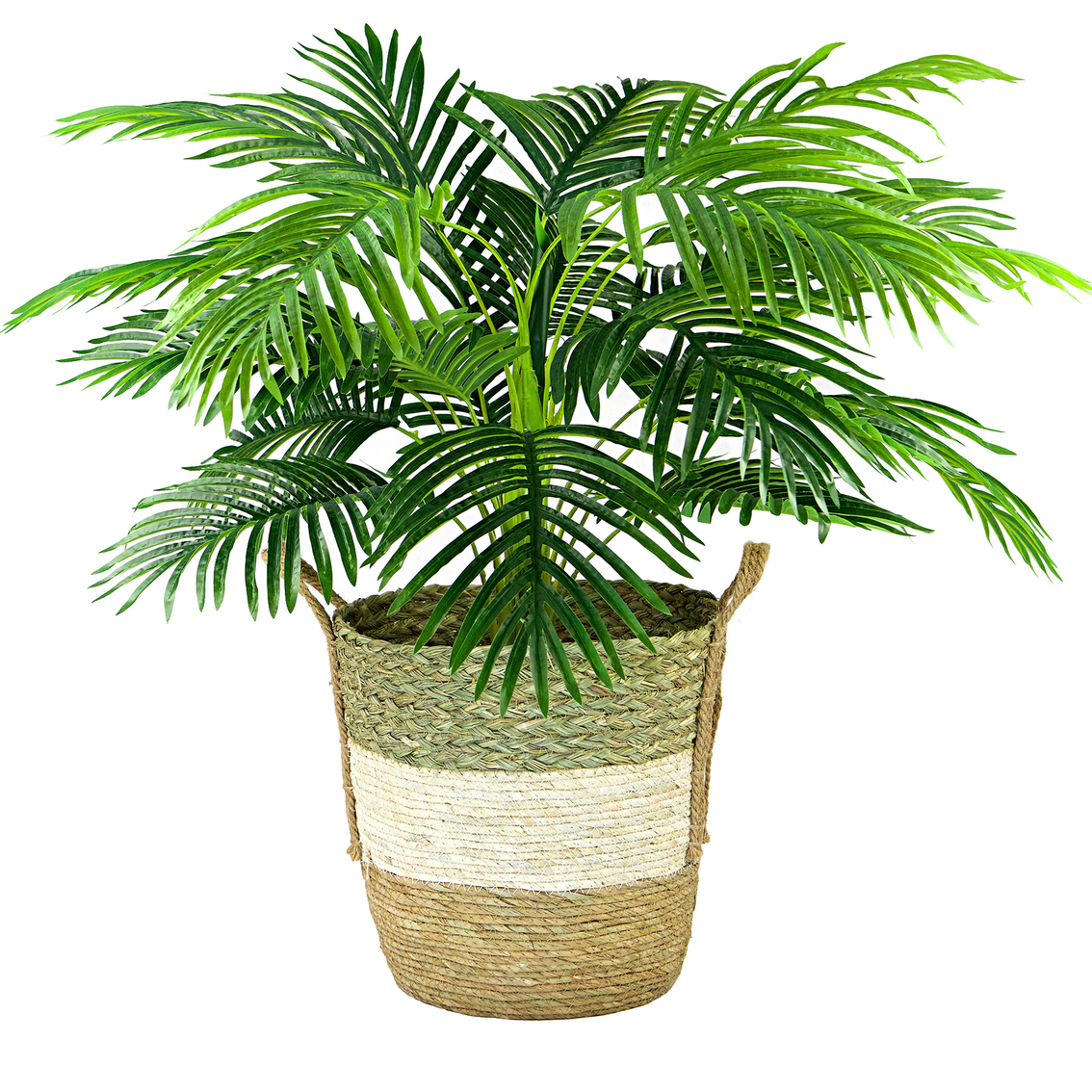 LCG Florals 42 in. Palm in Tricolor Basket