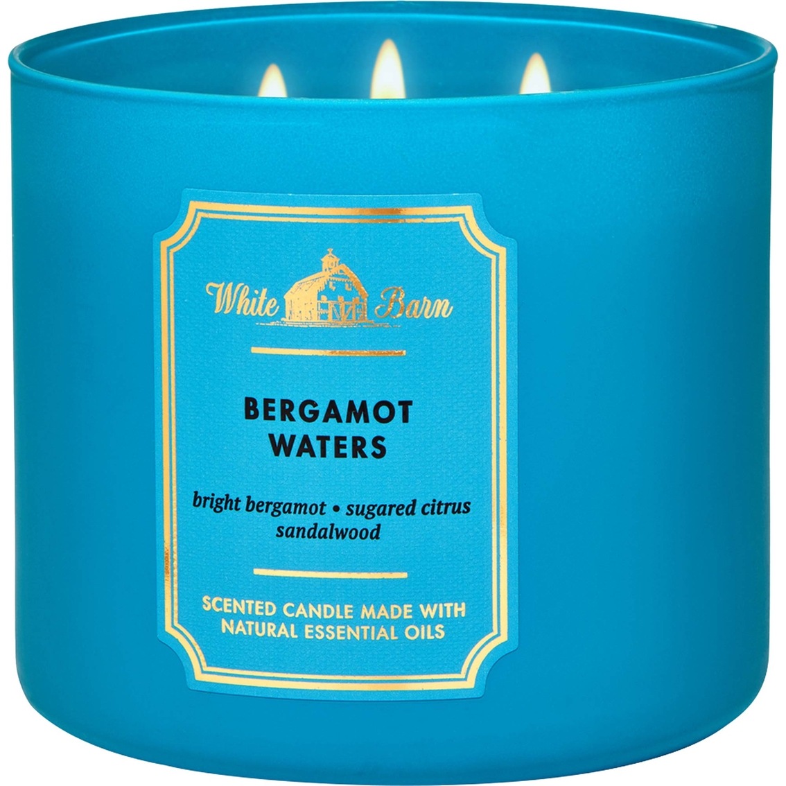 Bath & Body Works 3-Wick Candle in Bergamot Waters