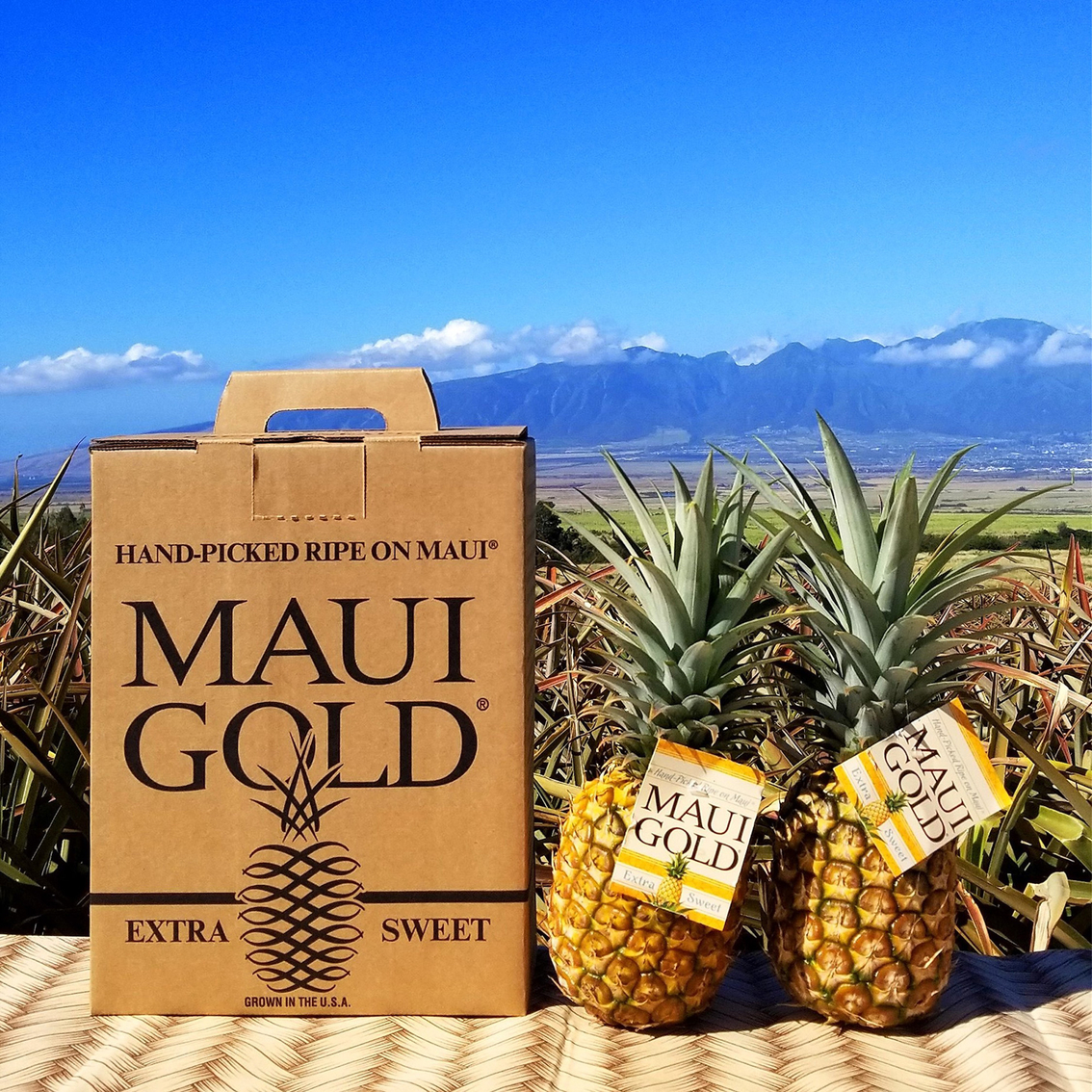 Maui Gold® Pineapple - 2 Pack