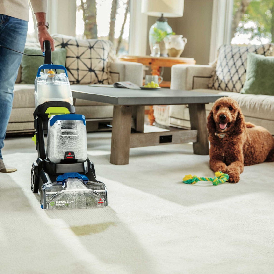 Bissell Turboclean Dualpro Pet Carpet Cleaner, Carpet Cleaners, Furniture  & Appliances