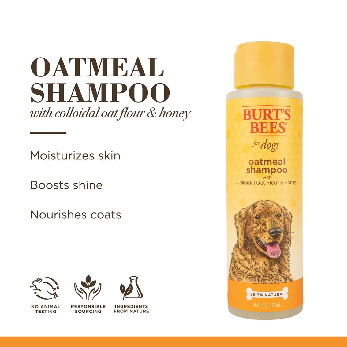 Burts Bees Oatmeal Dog Shampoo with Colloidal Oat Flour and Honey 16 oz. - Image 4 of 8
