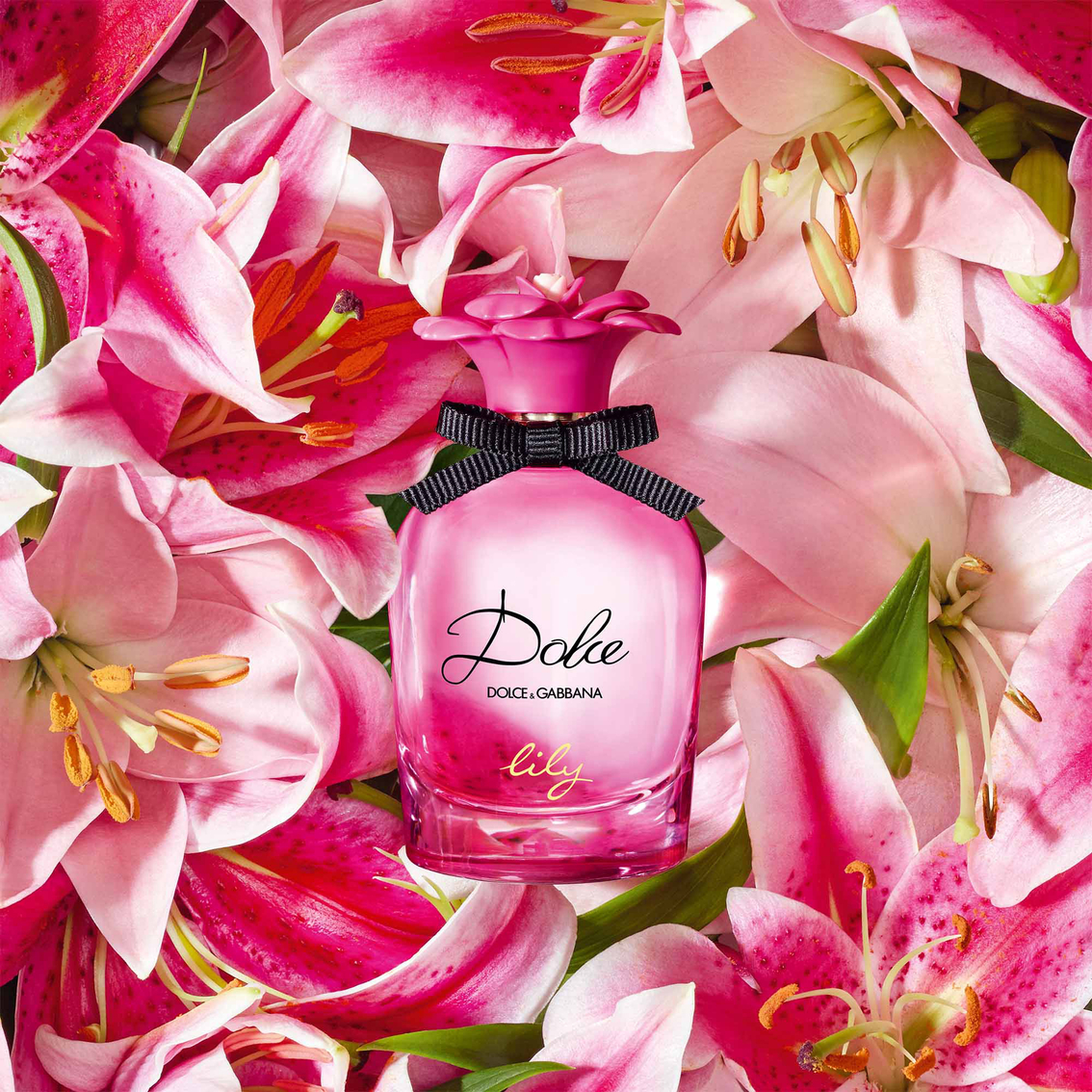 Dolce & Gabbana Dolce Lily Eau De Toilette - Image 4 of 5